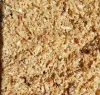 sawdust